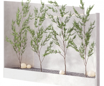 Modern Flower Bed, Flower Bowl, Flower Box-ID:193604956