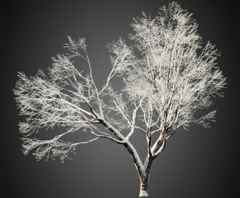 Modern Tree-ID:858011015