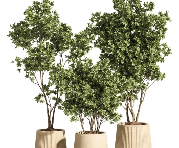 Modern Ground Green Plant Potted Plants-ID:793682109