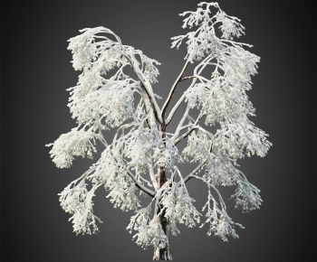 Modern Tree-ID:591804032