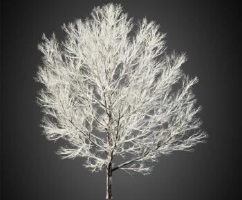 Modern Tree-ID:801732063