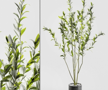 Modern Ground Green Plant Potted Plants-ID:168998009