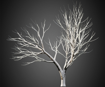Modern Tree-ID:332500944