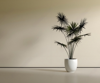 Modern Ground Green Plant Potted Plants-ID:355602035
