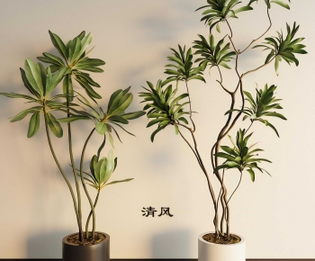 Modern Ground Green Plant Potted Plants-ID:592411048