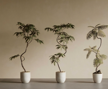 Modern Ground Green Plant Potted Plants-ID:146476983