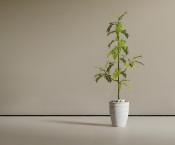 Modern Ground Green Plant Potted Plants-ID:179534912