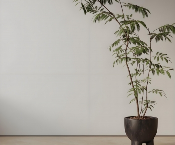 New Chinese Style Ground Green Plant Potted Plants-ID:480045088