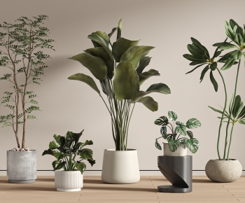 Modern Ground Green Plant Potted Plants-ID:278893957