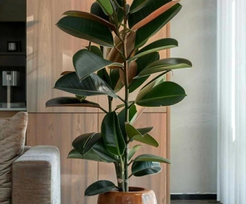 Modern Ground Green Plant Potted Plants-ID:265995985