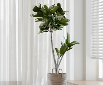 Modern Ground Green Plant Potted Plants-ID:904083974