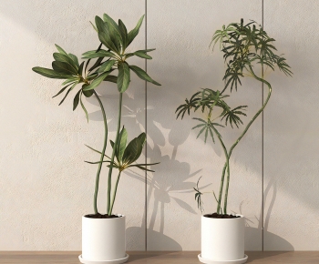 Modern Ground Green Plant Potted Plants-ID:619230996