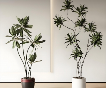 Modern Ground Green Plant Potted Plants-ID:689160118