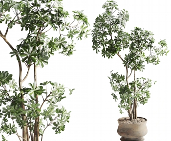 New Chinese Style Ground Green Plant Potted Plants-ID:198350919