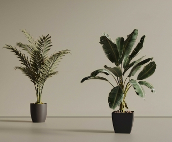 Modern Ground Green Plant Potted Plants-ID:386491068