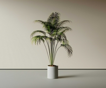 Modern Ground Green Plant Potted Plants-ID:815917025