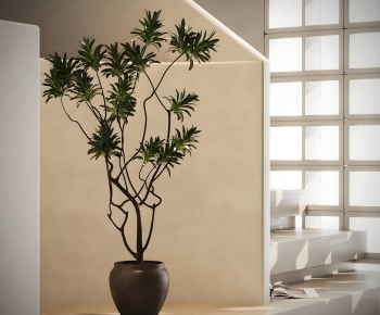 Modern Ground Green Plant Potted Plants-ID:876277927