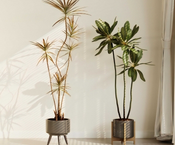 Modern Ground Green Plant Potted Plants-ID:312416087