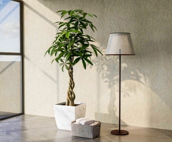 Modern Ground Green Plant Potted Plants-ID:515800008