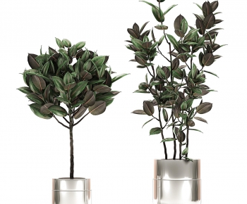 Modern Ground Green Plant Potted Plants-ID:428401955
