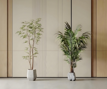 Modern Ground Green Plant Potted Plants-ID:147814994