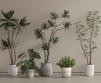 Modern Ground Green Plant Potted Plants-ID:968384981