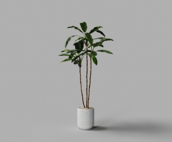 Modern Ground Green Plant Potted Plants-ID:637443077