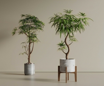 New Chinese Style Ground Green Plant Potted Plants-ID:993405105