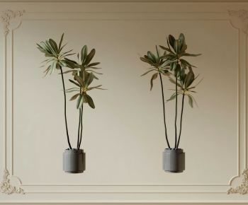 Modern Ground Green Plant Potted Plants-ID:808210479