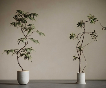 New Chinese Style Ground Green Plant Potted Plants-ID:166307934