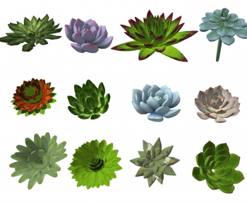 Modern Plant-ID:722220903