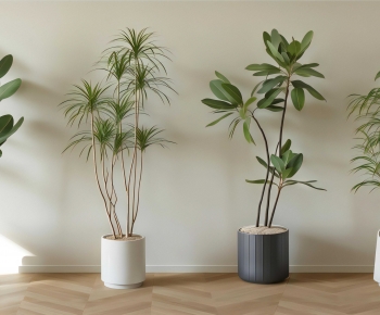 Modern Ground Green Plant Potted Plants-ID:382294891