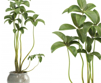 New Chinese Style Ground Green Plant Potted Plants-ID:485265027