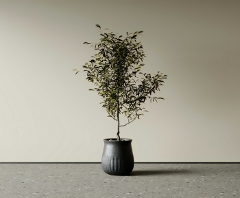 Modern Ground Green Plant Potted Plants-ID:660511025