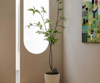 Modern Ground Green Plant Potted Plants-ID:918957007