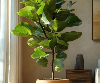 Modern Ground Green Plant Potted Plants-ID:843923099