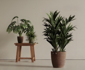 Modern Ground Green Plant Potted Plants-ID:491426942