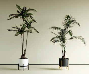 Modern Ground Green Plant Potted Plants-ID:142026909