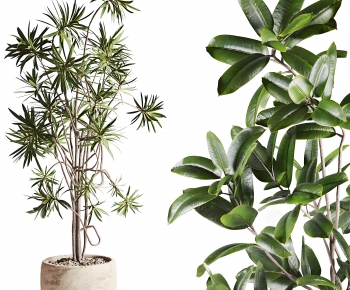Modern Ground Green Plant Potted Plants-ID:373428119