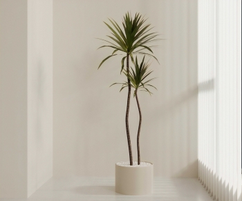 Modern Ground Green Plant Potted Plants-ID:580502034