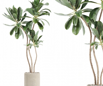 Modern Ground Green Plant Potted Plants-ID:788147932