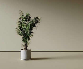 Modern Ground Green Plant Potted Plants-ID:855021001