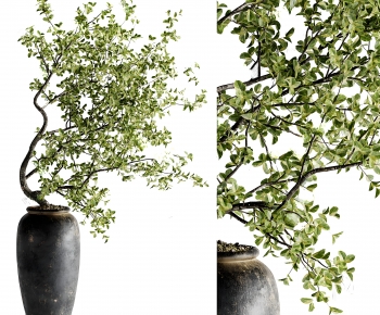 Wabi-sabi Style Ground Green Plant Potted Plants-ID:595176941