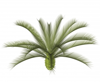 Modern Plant-ID:882985125