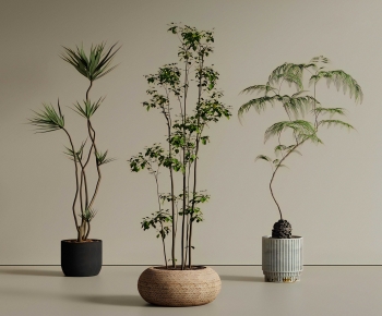 New Chinese Style Ground Green Plant Potted Plants-ID:755477918