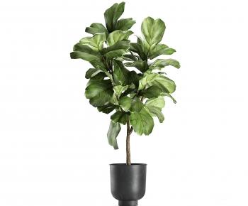 Modern Ground Green Plant Potted Plants-ID:570778891