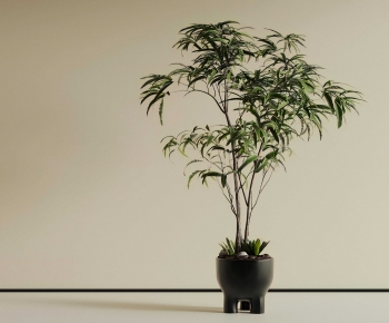 Modern Ground Green Plant Potted Plants-ID:339301117