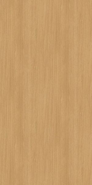 ModernWood Texture