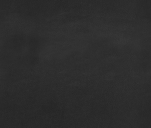 ModernFine Grain Leather