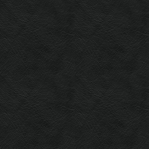 ModernFine Grain Leather